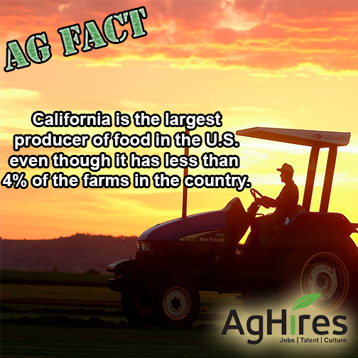 California is Largest Food Producer in the U.S.